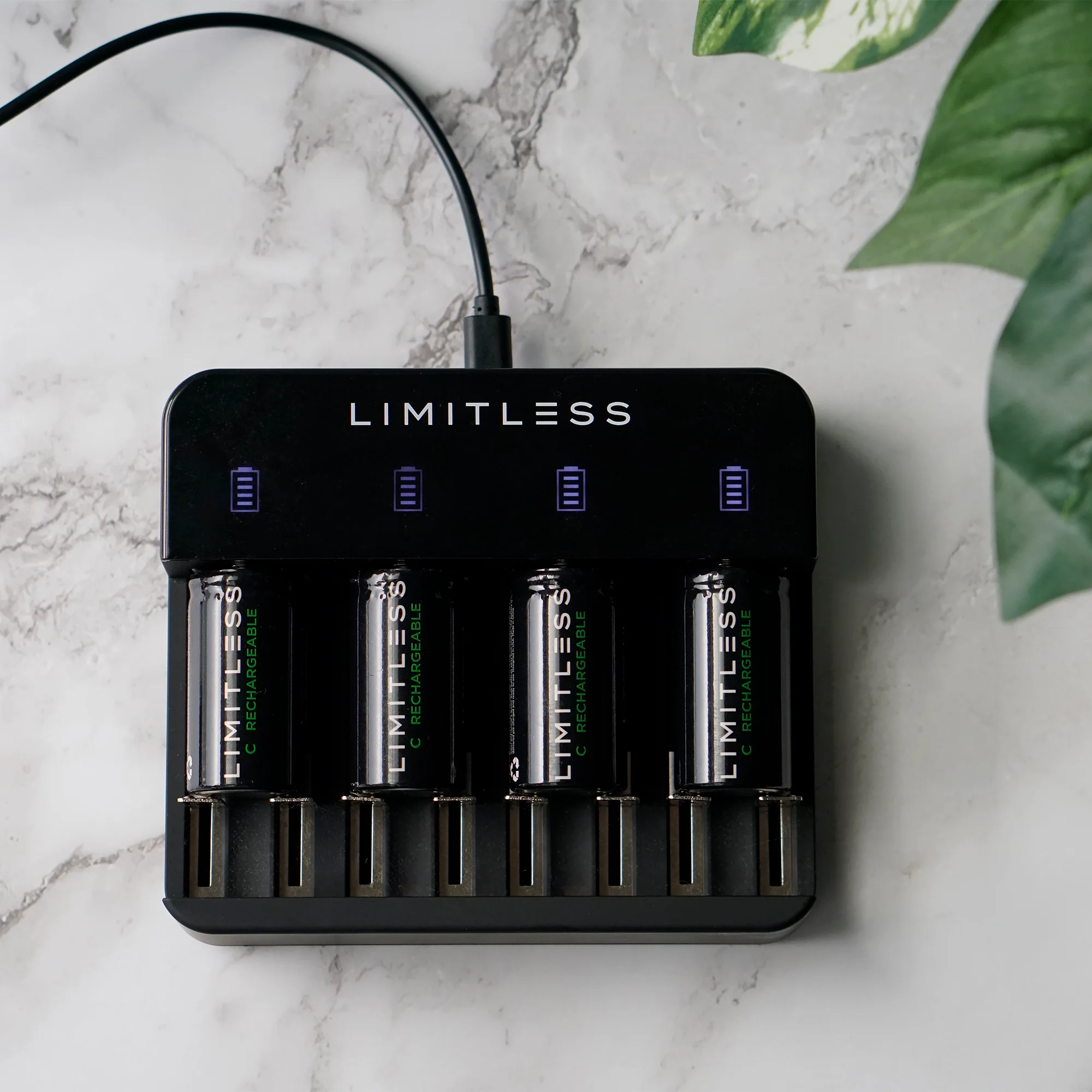 Universal NiMH Battery Charging System With Rechargeable Batteries - Image 11